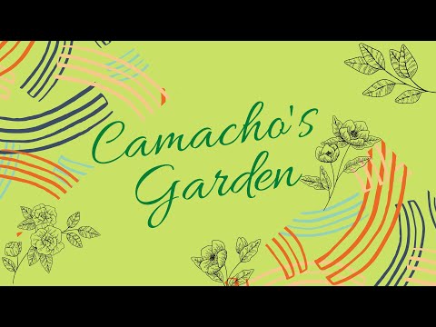 , title : 'CAMACHO'S GARDEN | The Mustard Spinach (Komatsuna)'