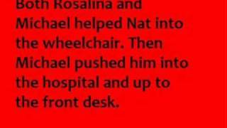 The Naked Brothers Band #14