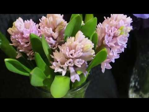 Seagroatt Riccardi's Fabulous Wedding Flowers April 2019