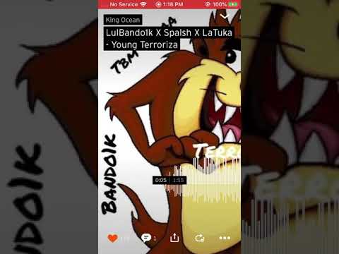 Lulbando 1k young terroriza