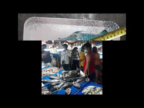 Ichthyology: Exercise 3 | Laboratory Report