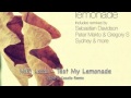 Miki Leris - Test My Lemonade (Alberto Casallo ...