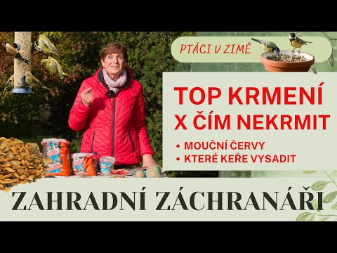 VIDEOTIP Čím kŕmiť vtáky v zime? Niektoré suroviny im môžu viac uškodiť než pomôcť - Plnielanu.sk