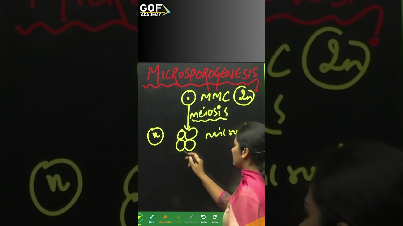 Microsporogenesis | NEET | Biology | Class XII |  Sweety ma'am | GOF Academy | CBSE | BOARD |