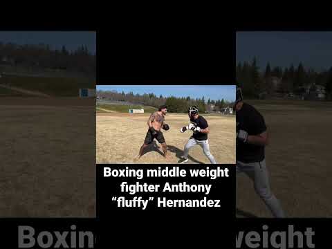 We boxed UFC fighter Anthony “fluffy” Hernandez #UFC #fight #DanaWhite #fullsend @nelkfilmz