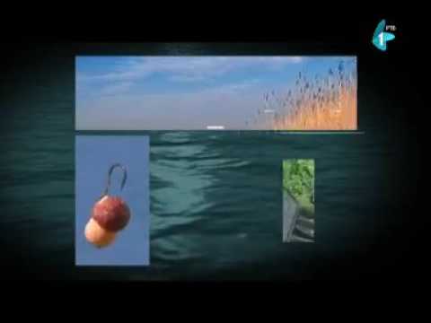 Čari Ribolova, kanal u Bezdanu (04.03.2016.)