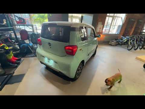BAW Pony, 17 kWh, hatchback