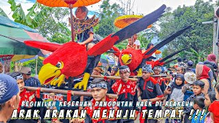 Download lagu ARAK ARAKAN RAJAWALI!!! DANGDUTAN TRUS DI REAKEUN MANTAP PISAN - Cuta Muda Grup Live Cikoneng mp3