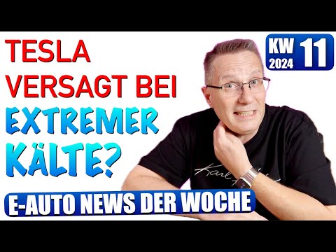 E Auto NEWS KW 11 2024