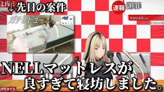 【初寝坊】寝坊の言い訳に"案件"という最強のカードを出してくるニコたん【ホロライブ/ホロライブ切り抜き/虎金妃笑虎/ 輪堂千速/儒烏風亭らでん】