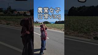 農業女子の日常Vlog #沖縄 #農業 #移住#田舎暮らし #離島 #30代