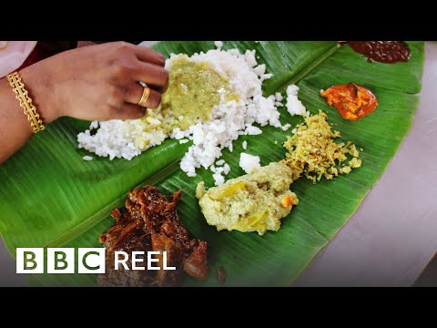How to eat Indian food like a local - BBC REEL