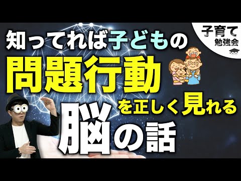 1~10歳【初級】子どもの問題行動を正しく捉える。親が知っておきたい脳のこと/子育て勉強会TERUの育児・知育・幼児教育・子どもの教育講義