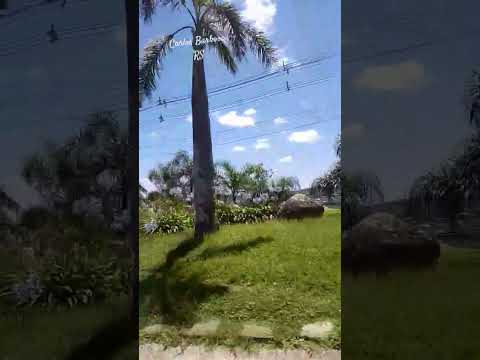 #carlosbarbosa #cidadelinda #serragaúcha