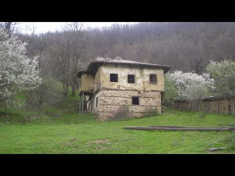 Vesel Skroma   Chetniket ne Keqekoll