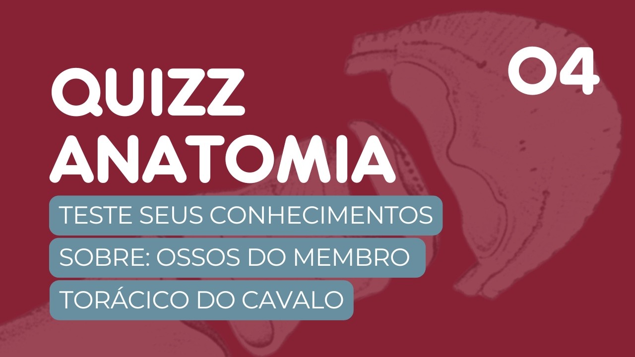 Quiz Anatomia Veterinária - Ossos Membro Torácico - Equino | Aparelho Locomotor