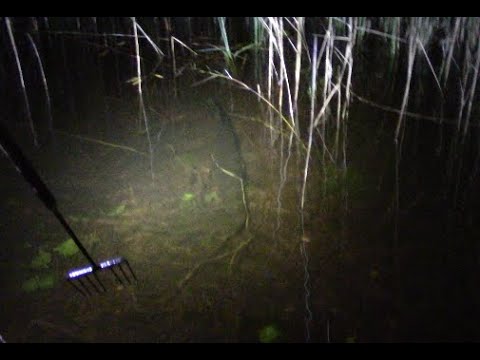 Tuulastusta, jäätävä hauki 😃🐟