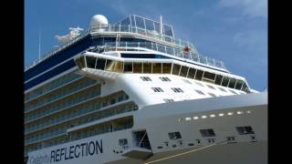 preview picture of video 'Celebrity Reflection'