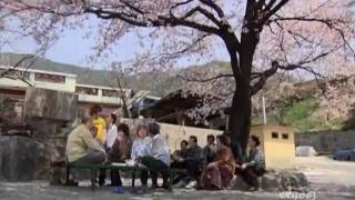 :: Vacation :: Your Love Is All I Need