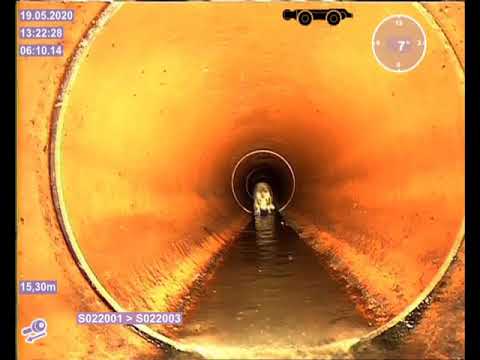 Ratte im Kanal 😉 bei einer Kamerabefahrung der Firma Abfluss A-Team