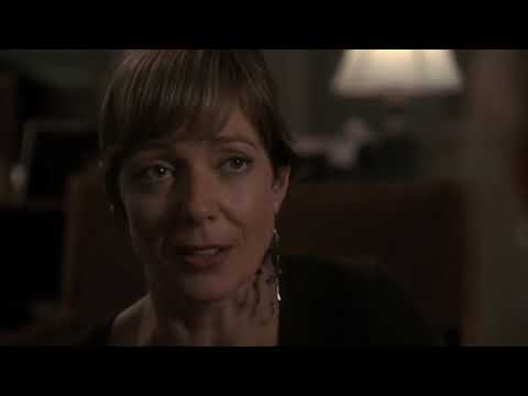 Josh Lyman & Donna Moss 05x20 part 2 The West Wing donna cj talk