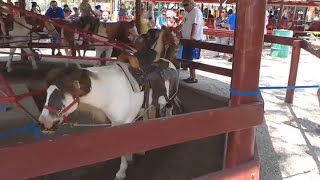 Dean rides the pony.