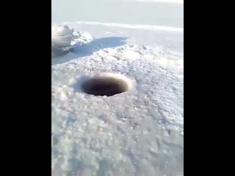 Man duikt in ijskoud water ergens in Rusland   Однако, суровый дядька