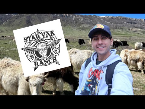 Traveling Nursing Informatics - Casper Wyoming