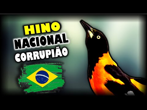 HINO NACIONAL PARA ENSINAR CORRUPIÃO - SOFRÊ - CONCRIZ [COM INTERVALO]