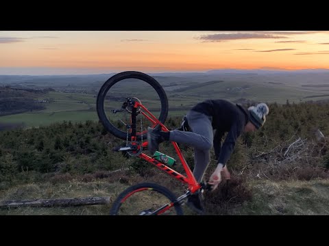 Innes M Winter Shreds 2020/21 ~ Edgar Davids by Ayrtn