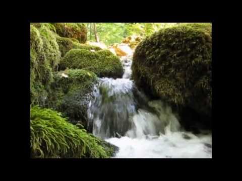 BBF Strandja Regional Mark Clip Contest - clip 2 Deyan Simeonov & Simona Prodanova.mpg