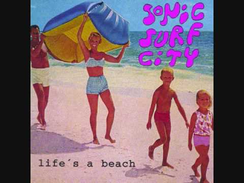 Sonic Surf City - Flamingo