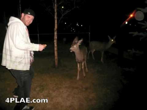Mike Boyd is... The Deer Whisperer