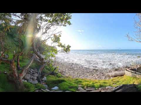 Playa de Uva, Península de Paria | 360° Venezuela Estado Sucre