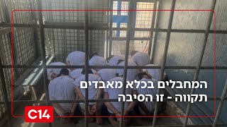 המחבלים בכלא מאבדים תקווה - ראש אגף התכנון בשב"ס חושף את הסיבה (חדשות ערוץ 14) - התמונה מוצגת ישירות מתוך אתר האינטרנט יוטיוב. זכויות היוצרים בתמונה שייכות ליוצרה. קישור קרדיט למקור התוכן נמצא בתוך דף הסרטון