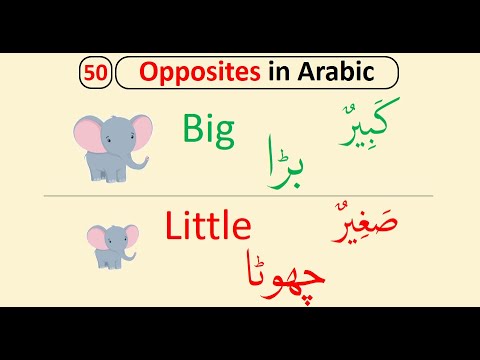 50 Opposite Words in Arabic English and Urdu | الاضداد | Arabic for Kids