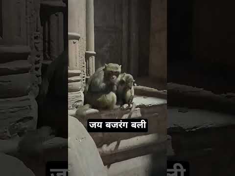 #bajrangbali