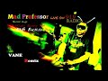 Mad Professor - What's Going On  Live on FM 94.9 Radio (VANE Remix)
