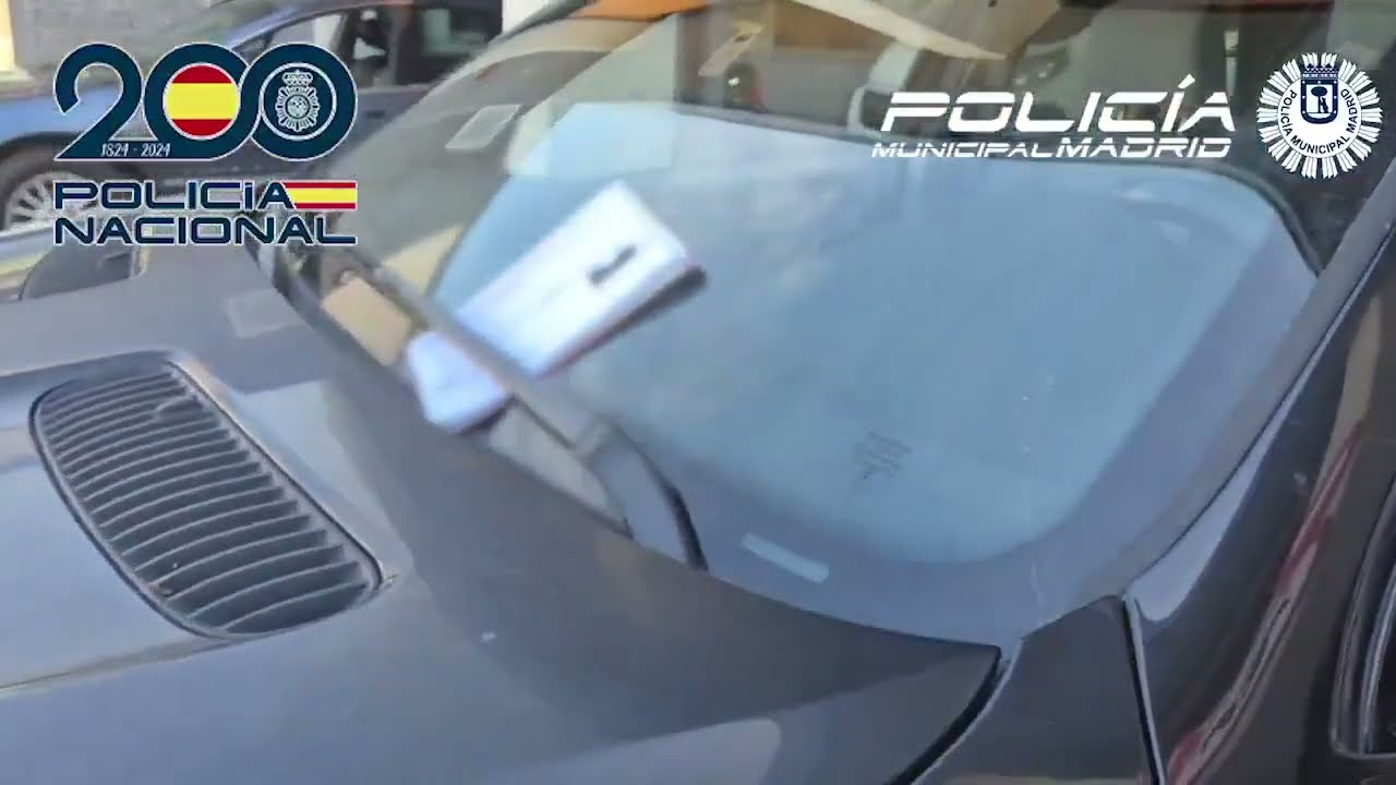 [VÍDEO] Cae una red criminal que 