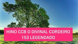 HINO CCB O DIVINAL CORDEIRO 153 LEGENDADO.