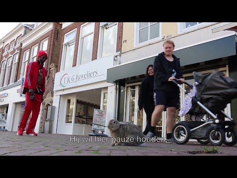 Darryl heeft een nieuw konijn