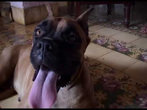 KLP archives - Cuba 2002