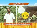 Pon Vilaiyum Bhoomi 23 03 2020 Successful Farmer Story