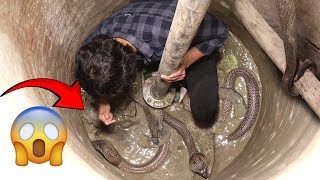 इसे कहते है असली नाग नागिन, कुएँ में एक साथ गिरे थे नाग नागिन फिर कैसे बाहर निकाला गया!🐍😱 Nag Nagin