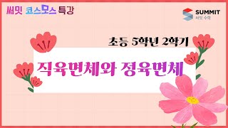 [써밋코스모스 특강] 5학년2학기 직육면체와 정육면체