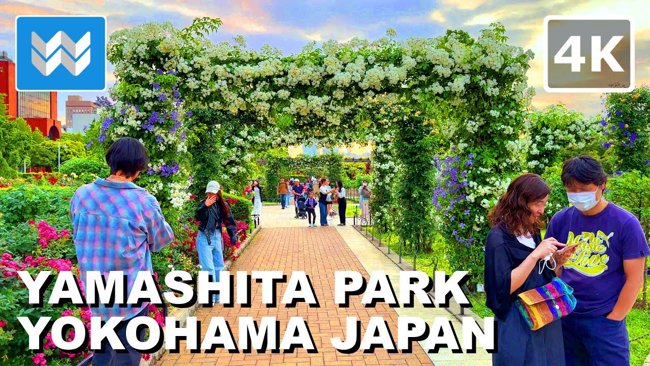 Immerse into captivating walking tour through Yamashita Park.