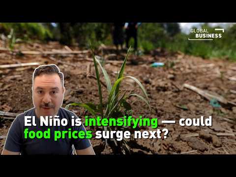 El Nino Intensifying: What It Means for Global Food Security