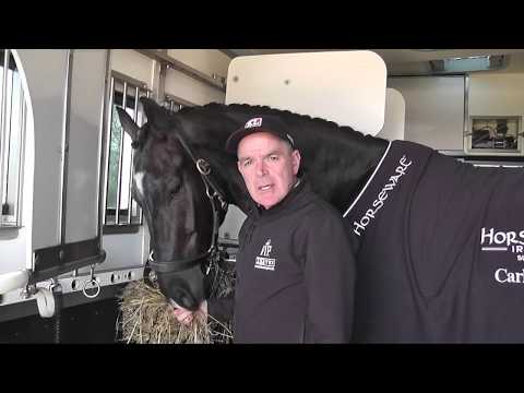 A day in the life of Carl Hester and Alan Davies | Nettex and Horse&Rider