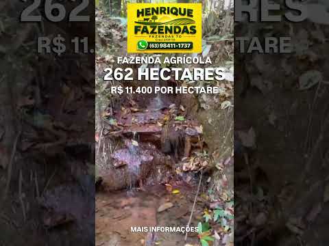 FAZENDA NO TOCANTINS #agro #pecuarista #gado #agricultura #fazenda