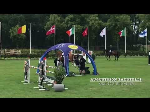 Bali Des Cedres Verts 2011 mare (Diamant de Semilly x Quidam de Revel) 1st place CSI** Peelbergen